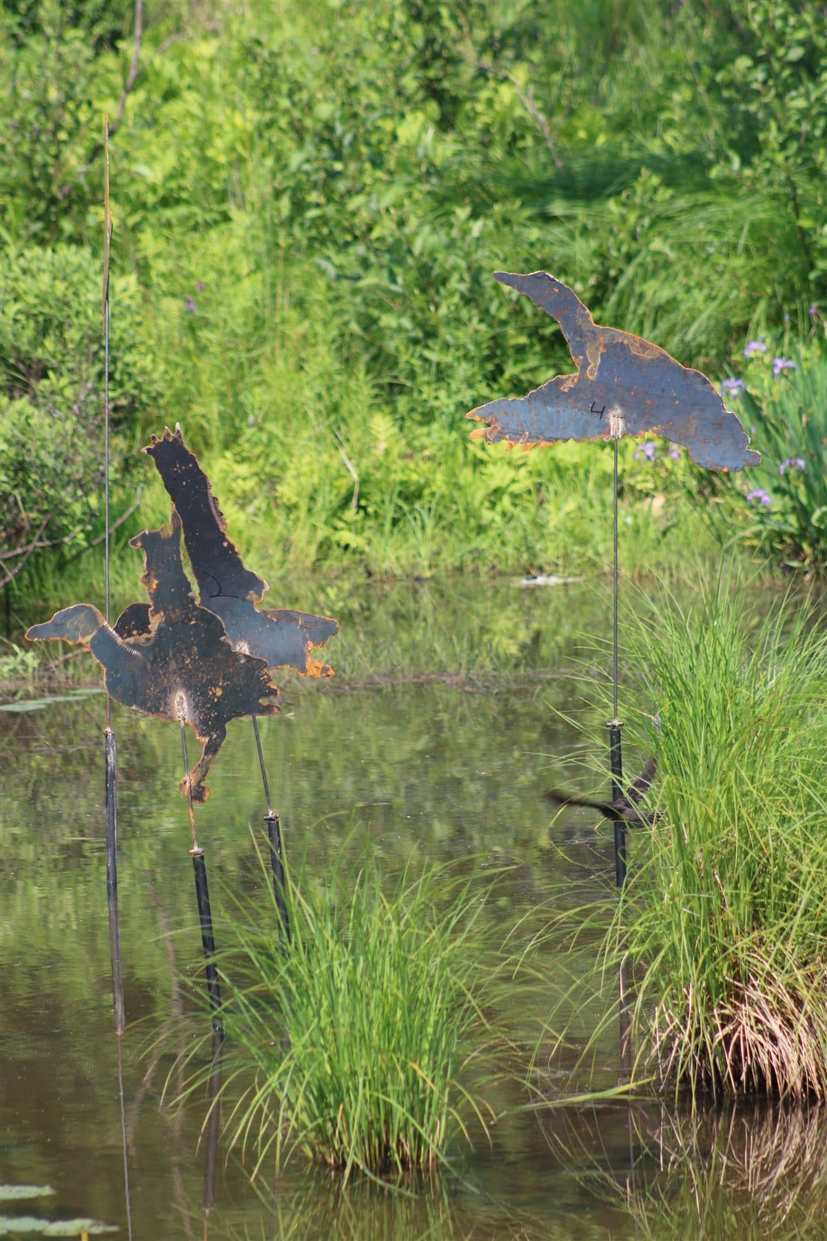 Mallards in Flight by Aidan Stanley, six duck silhouettes rising from Killarney Lake