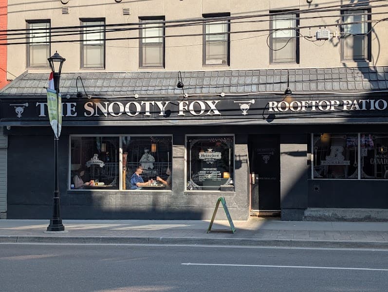 Snooty Fox