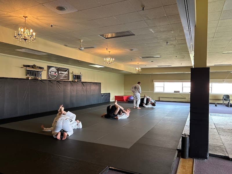 Synergy BJJ