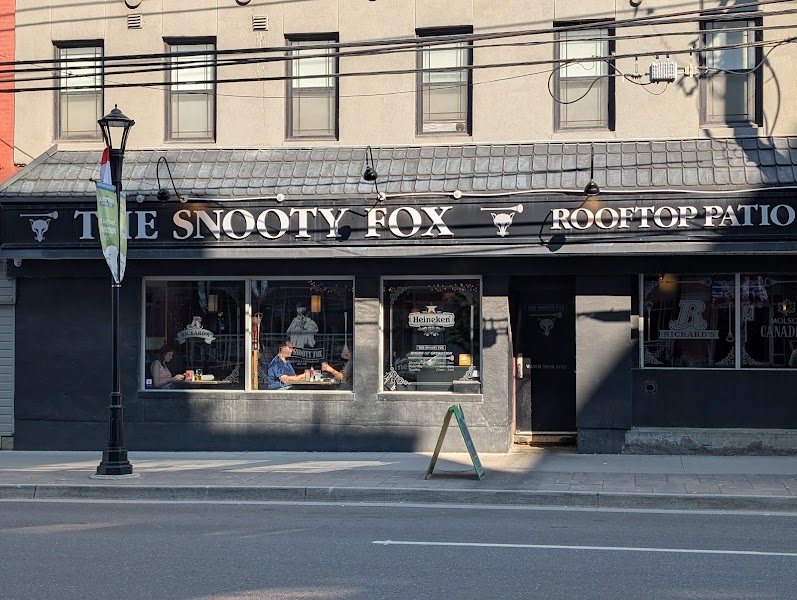Snooty Fox
